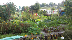 JardinVuesGénéralesLePotager (3)