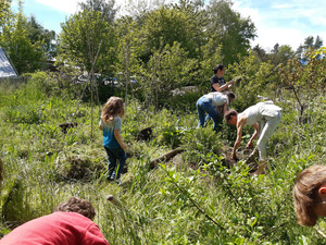 IMG-20210510-WA0006
