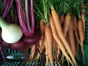 panier de légumes La Rochette