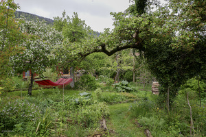 mai-jardin-forêt.2