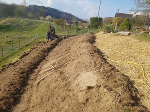 Swales 1