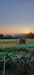 IMG_20220811_090235_071918