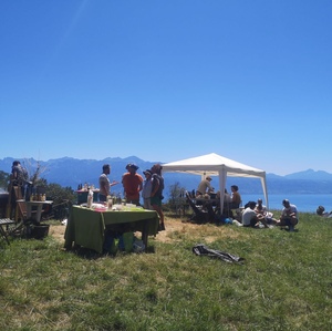 IMG_20220702_181300_072116