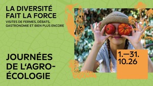 Image tomate RS large