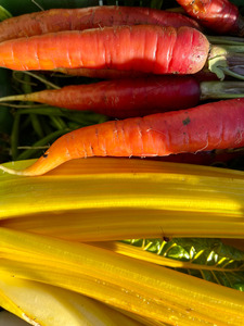 carottes et côtes de bettes