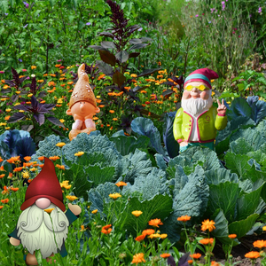 jardin-nains