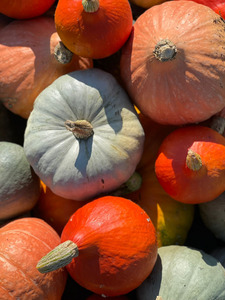 IMG-20231006-WA0013