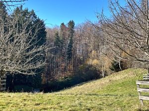 IMG_2660