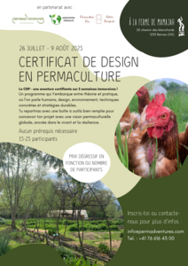 Flyer PNG