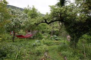 mai-jardin-forêt.2