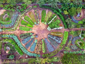 Formation-permaculture-Genève