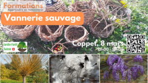 Formation vannerie 2025 2