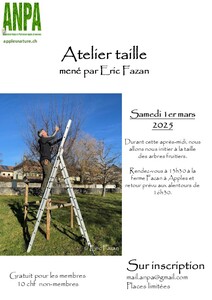 Sortie_taille_2025