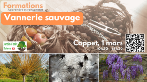 Formation vannerie 2025 1