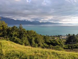 Vue 3