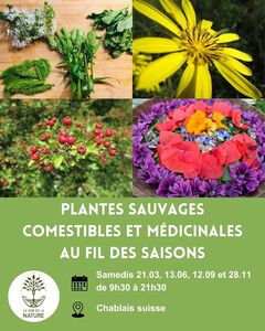 Plantes sauvages au fil des saisons