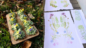 Plantes sauvages et tataki zomé