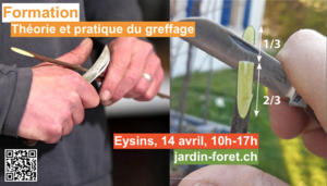 affiche 14 avril
