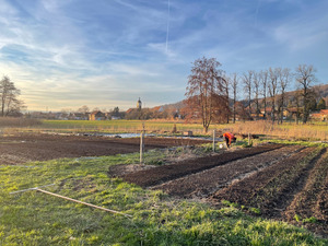 Février 2024_Préparation du jardin