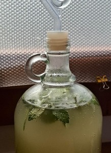boisson fermentée