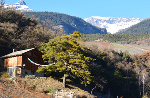 Hütte21_a