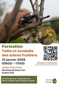 Visuel_Formation_Taille_AJFS