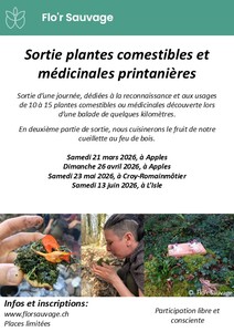 Comestible et médicinales printemps