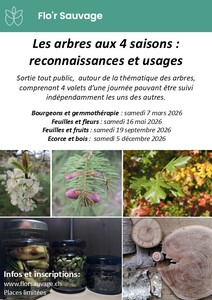 Arbres aux 4 saisons