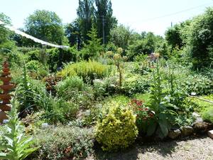 Jardin de Plantes et Vie